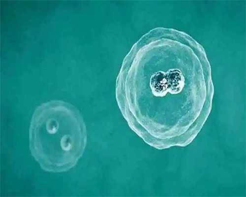 试管婴儿费用全解析：助孕梦想的成本与实现路径
