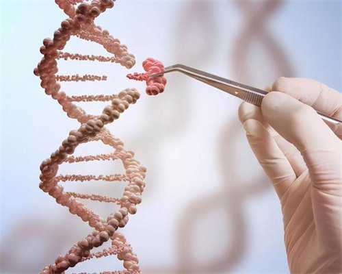 赴柬埔寨试管助孕前必做检查项目盘点（这四个关键检查不容忽视）