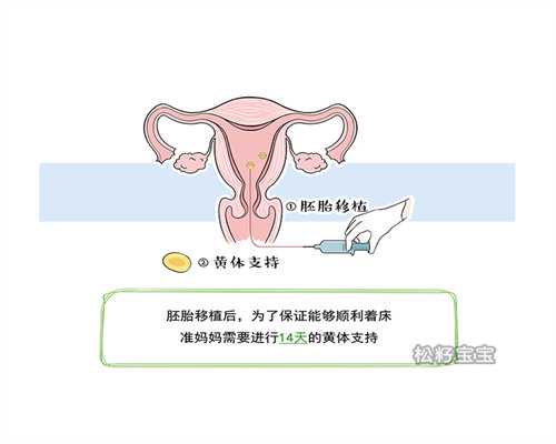 泰国三代试管婴儿流程详解与注意事项