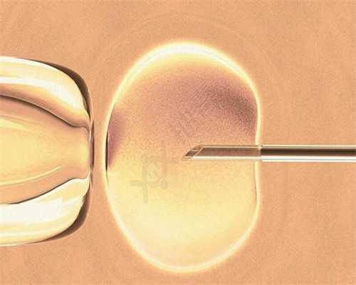 俄罗斯试管婴儿周期时间安排详解：从准备到成功